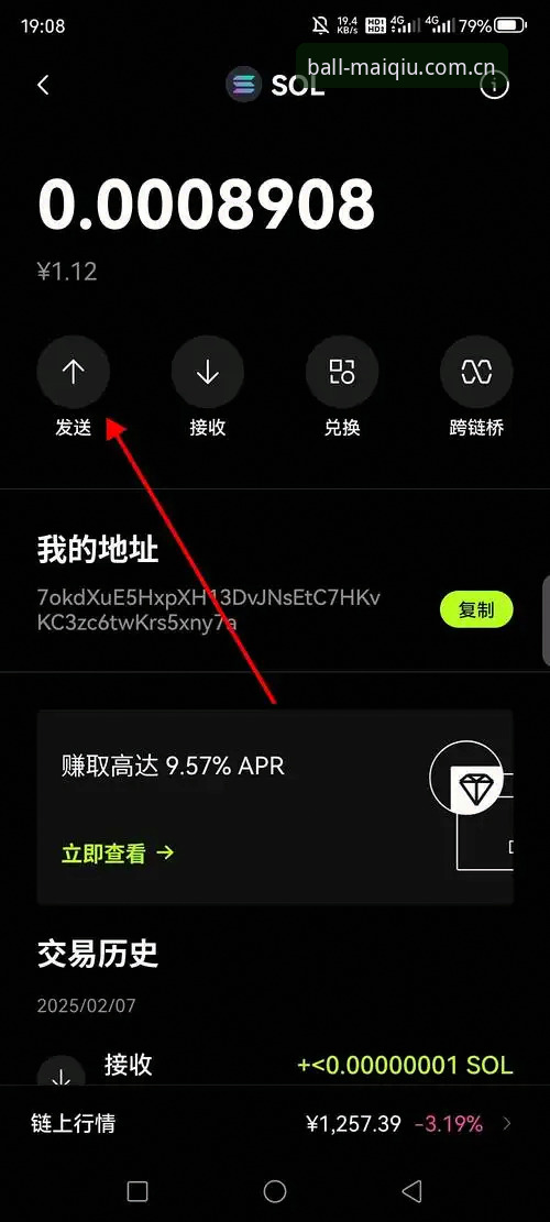 买球APP下载实用指南：新手从零到精通的操作技巧